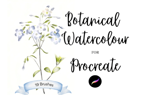Procreate Botanical Watercolour Brushes: A Designer's Review
